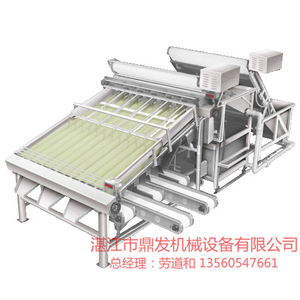 蝦類自動分級機